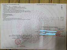 Hình ảnh cần bán đát kv láng dài châu đức đường công ty hoa anh đào