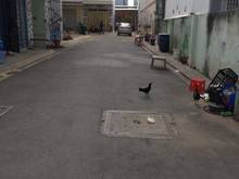 Hình ảnh Kẹt Tiền Cần Bán Nhà Gấp Giáp Tân Phú, 5.5*15 , Giá 4 Tỷ 850 , TL