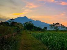 Hình ảnh Chính chủ cần bán đất thổ cư 2 mặt tiền view núi ba vì cực đẹp