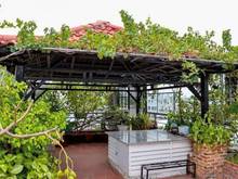 Hình ảnh Cần bán gấp nhà phố CỰC PHẨM Hiệp Bình Chánh, Thủ Đức 52m2 giá chưa đế