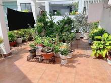 Hình ảnh Trung tâm Quận 3 - 50m2 - 5 tầng -  11,5 tỷ.