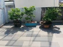 Hình ảnh MẶT TIỀN ĐƯỜNG SỐ - Thiết kế lệch tầng - VIEW SÔNG - XE HƠI ĐỖ CỬA