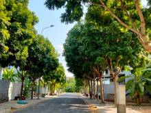Hình ảnh Gấp đất dự án An Thiên ý, Phước Long B, Quận 9 , 100m2, Chỉ 7 tỷ 500tr