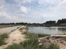 Hình ảnh 4700 m2 đất gần biển Cù Mi Tân Thắng giá 5 tỷ 700 tr