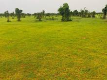 Hình ảnh Bán lô đất hot mặt tiền đường liên huyện 28000m2 ở Bắc Bình giá cực xị