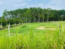 Hình ảnh Xã PHÚ MỸ HƯNG, Dt: 19.6x43 = 758m2 ( có 70m thổ ), giá 5.7 tỷ