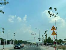 Hình ảnh Kẹt tiền cần bán gấp lô đất trừ văn thố- bàu bàng- bình dương