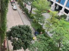 Hình ảnh Trung Tâm Q Nam Từ Liêm.PL Đường Nguyễn Cơ Thạch. 60m x 5T. MT: 4.5m