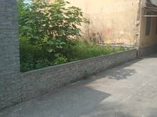 Hình ảnh Chính Chủ gửi Bán mảnh đất 80m2. Ngay sát Chùa Thầy, Sài Sơn, Quốc Oai