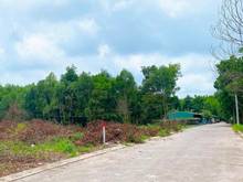 Hình ảnh Cần Bán Miếng 650m2 Ngay DT45 Gần Biển, Khu Ông Lang, Phú Quốc