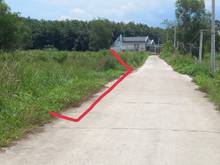 Hình ảnh Bán đất MT bê tông, Long Nguyên, Bàu Bàng, DT:24x47, SHR, giá 3,840 tỷ