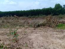 Hình ảnh Mặt Tiền Nguyễn V Tạo-Long Thới Nhà Bè-Đất Phân Lô 8200m2 -Chỉ 260Tỷ