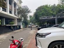 Hình ảnh Biệt Thự 195m2 5 Tầng Khu Vườn Đào-Mặt Võ Chí Công–13m Mặt Tiền-95 tỷ