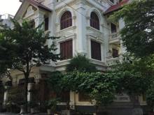 Hình ảnh Căn Biệt Thự đã trống cần cho thuê tại Vimeco Nguyễn Chánh, Trung Hòa