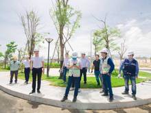 Hình ảnh Bán đất nền ven Biển Quy Nhơn - Giá gốc từ VP CĐT