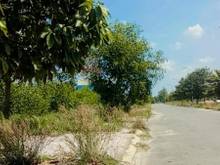 Hình ảnh Đất SỔ SẴN full thổ, lộ lớn 20m kế KDC Phước Tân, Tp.Biên Hòa 2,