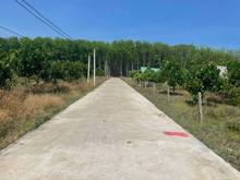 Hình ảnh Cần bán gấp lô đất tại Chơn Thành, 256m2, đường chuẩn bị lên nhựa 18m