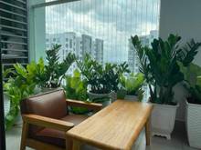 Hình ảnh Bán Celadon Emerald 71m2 2pn 2wc giá tốt nhất thị trường