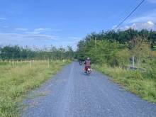 Hình ảnh Chủ cần bán nhanh lô đất vườn đường Nguyễn Thị Rành 1000m2.