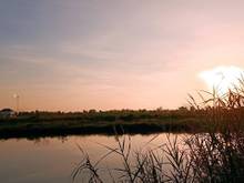 Hình ảnh Nền thổ cư giá rẻ nhất miền Nam