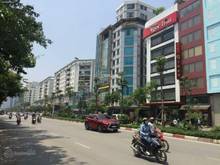Hình ảnh Bán GẤP Nhà Mặt Phố Thái Tông,Vìa Hè KD, Ô Tô,Phố Đẹp Nhất Cầu Giấy