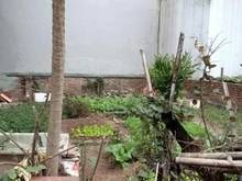 Hình ảnh Chính chủ Cần bán gấp đất sổ đỏ tại BT3A-13 đấu giá Phúc Lợi Long Biên