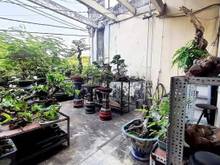 Hình ảnh Bán nhà mặt tiền tái thiết, tân bình, ngang 5.3 x 19, nhỉnh 10 tỷ.