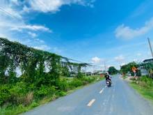 Hình ảnh Bán đất full thổ mặt tiền đức hòa