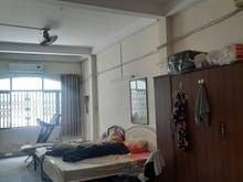 Hình ảnh Hẻm xe tải - Hòa Bình - Hòa Thạnh - Tân Phú