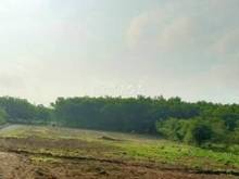 Hình ảnh Bán gấp lô đất sào tại Bình Phước view suối cực đẹp
