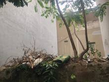 Hình ảnh Bán đất giá rẻ ngay phố lạc long quân hà nội. 42m , mt 3m giá 2.5 tỷ