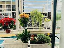 Hình ảnh Bán nhà giá rẻ 90M2-Giá chỉ 5 Tỷ 95 Đường Chiến Lược-Quận Bình Tân