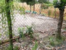 Hình ảnh Bán Gấp Hạ Giá Đất 5x32m Tân Phú Đức Hòa Long An Giá 700 Triệu SHR