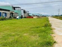Hình ảnh lô biệt thự ngang 10 view đồng lúa cực đẹp