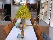 Hình ảnh Cần tiền kinh doanh - Chủ muốn bán căn góc 3PN tại Newton Residence No