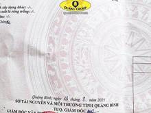 Hình ảnh Đất đẹp tiềm năng tại đại trạch giá chỉ 6xx