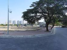 Hình ảnh Khu 2.55 ha Đức Diễn, Bắc Từ Liêm 100m.MT: 5.6m. Giá: 14 tỷ