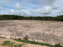 Hình ảnh Bán 1,1ha có 231m mặt tiền đường Ô tô Thôn 1 gần đường Tân Minh -Sơn M