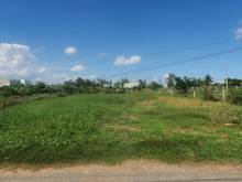 Hình ảnh Bán 500m2 vườn, thị trấn cần giuộc, đường nhựa 7m, QL50 vào  800m.