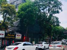 Hình ảnh Cho thuê căn góc siêu đắc địa mặt phố Quang Trung - Hoàn Kiếm