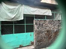 Hình ảnh Hoàng xuân nhị, phú trung, 4.7x15m, tiện xây mới