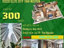 Hình ảnh Chỉ với 300 triệu nhận nhà ở ngay tại chung cư tecco Thái Nguyên