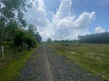 Hình ảnh Bán gấp đất sào 1000m2 Lộc Thành ,Lộc Ninh,Bình Phước