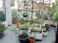 Hình ảnh Nhà Nguyên Căn Góc Ngã Ba Hoàng Văn Thụ VÀ PHẠM VĂN HAI, 203 M2, 1 TRỆ