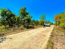 Hình ảnh 🌳 Bán mảnh vườn mặt tiền Bê Tông ngay cầu Thanh Sơn