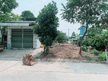 Hình ảnh Cần bán Gấp Lô đất 150m2 full thổ cư , vị trí đắt địa , dân đông ,