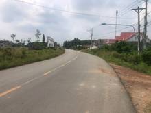 Hình ảnh Bán đất MT nhựa, Long Nguyên, Bàu Bàng, DT6,5x52, TC100m2, SHR, 1,5 tỷ