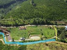 Hình ảnh Lên lô đất làm khu Nghĩ Dưỡng hay Homestay. Mặt tiền đường QL28.