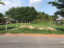 Hình ảnh 1000m2 ngay vòng xoay Tân Châu, Mới lấy trích lục, giá rẻ tận gốc