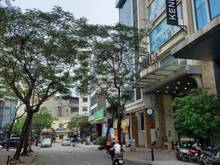 Hình ảnh Chính chủ bán gấp nhà Phân lô Nguyễn Phong Sắc, dt 97m2, 15,3 Tỷ.